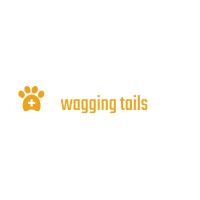 logo-white